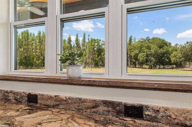 41451 NIPPER ROAD, Zephyrhills, FL 33540
