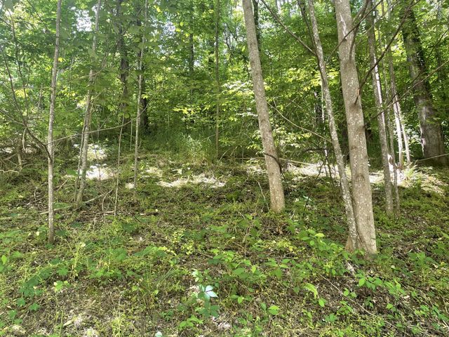 0 Harbor Dr, Lancaster, TN 38569