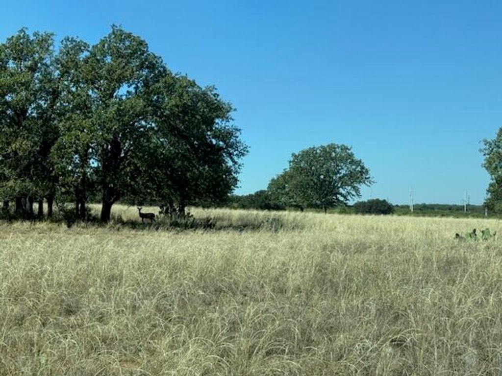 Image 22 of property listing at 1600 N Us Hwy 277, Bronte, TX 76933