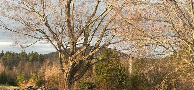 96 Stafford Hollow Rd, Monson, MA 01057