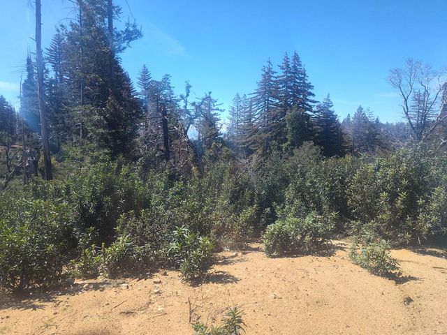 297 Robles Drive, Santa Cruz, CA 95060