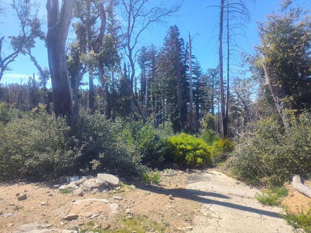 297 Robles Drive, Santa Cruz, CA 95060