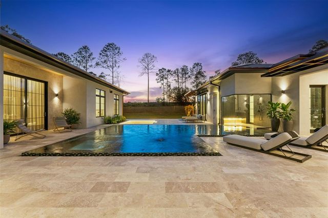 16146 PENDIO DRIVE, Montverde, FL 34756