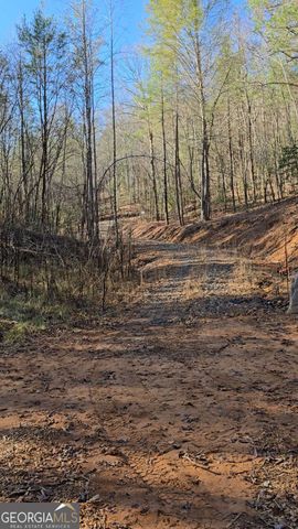 LOT 11B Spence Road, Epworth, GA 30541