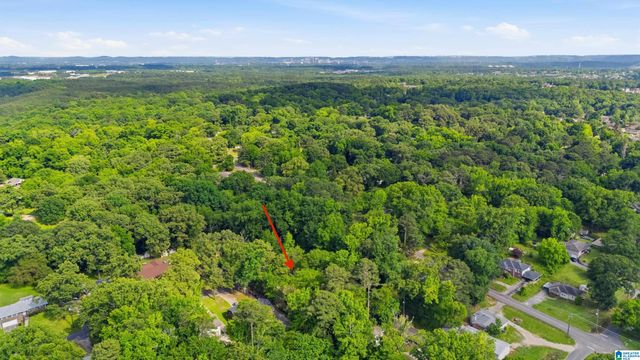 1610 SHADY LANE, Birmingham, AL 35214