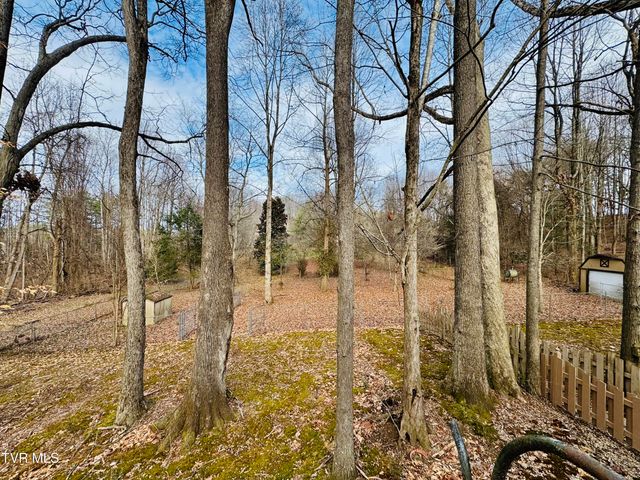 5 Red Fern Circle, Johnson City, TN 37604