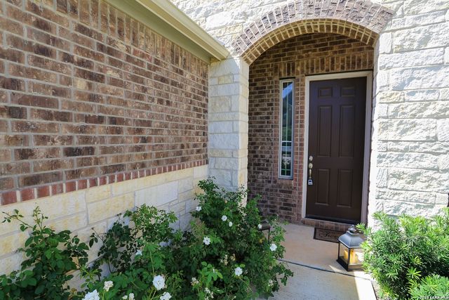 2046 Egret, New Braunfels, TX 78132