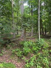 832+ N Duffer Drive, Jasper, GA 30143