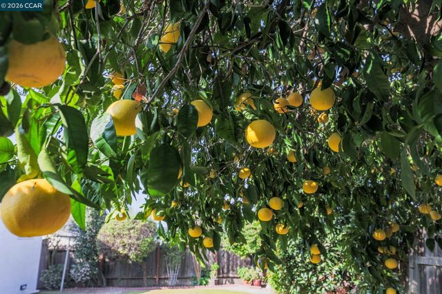 3613 Longview Rd, Antioch, CA 94509