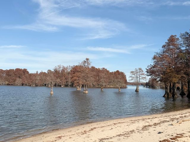 518 Knott Drive, Eutawville, SC 29048