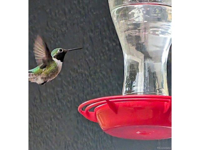 5384 Olde Stage Rd, Boulder, CO 80302