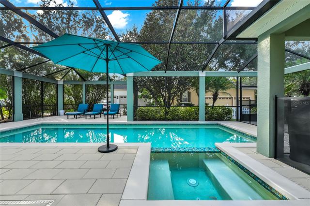 11855 CAMDEN PARK DRIVE, Windermere, FL 34786