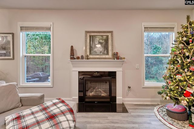 205 Prismatic Way, Lexington, SC 29072