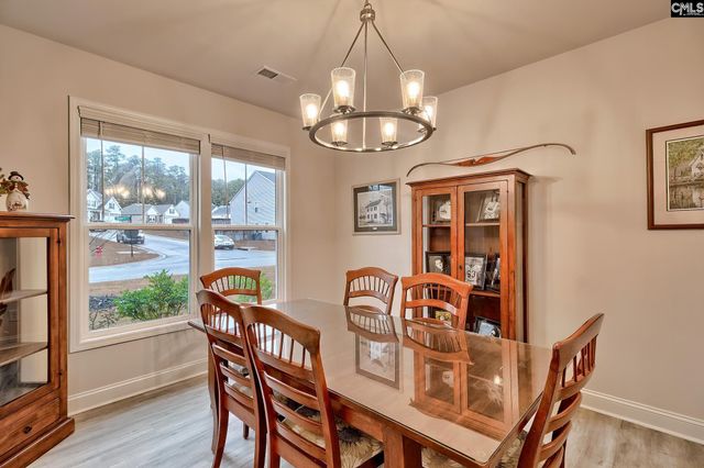 205 Prismatic Way, Lexington, SC 29072