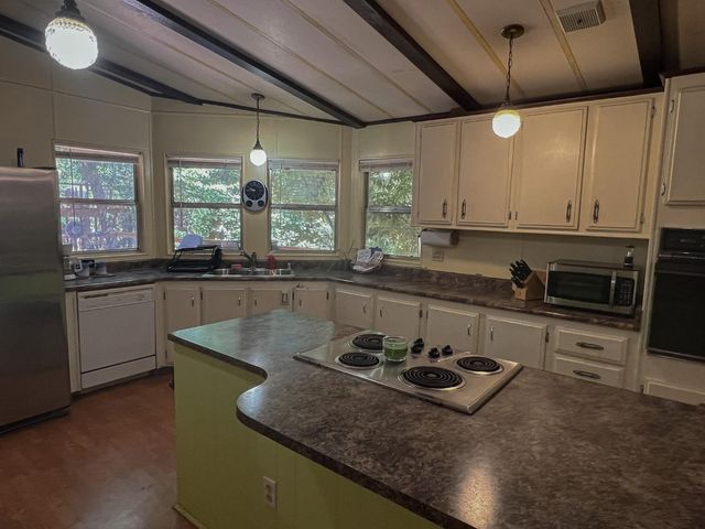 16895 Silver S Dr, Pioneer, CA 95666