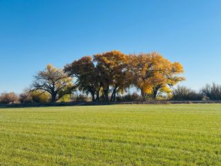 105 Zia Lane Lane, Veguita, NM 87062