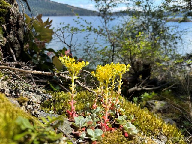 260 Grey Havens Loop, Orcas Island, WA 98280