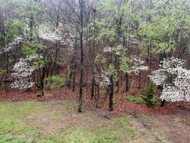 3 Ridgewood Court, Joplin, MO 64804