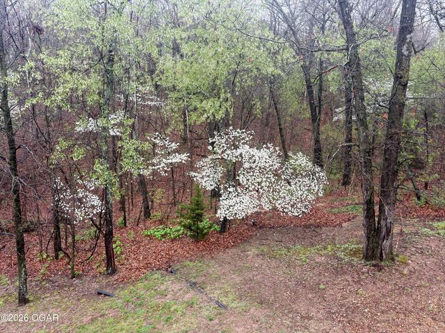 3 Ridgewood Court, Joplin, MO 64804