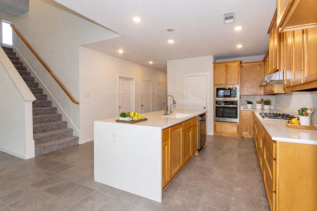 3517 Iron Horse Drive, Little Elm, TX 75068