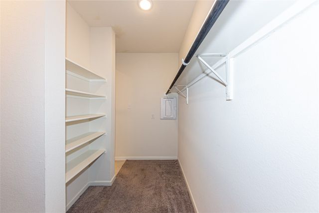 3517 Iron Horse Drive, Little Elm, TX 75068