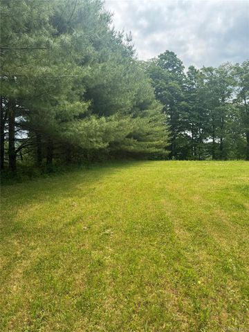 742 Lenape Lake Road, Livingston Manor, NY 12758