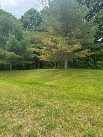 742 Lenape Lake Road, Livingston Manor, NY 12758