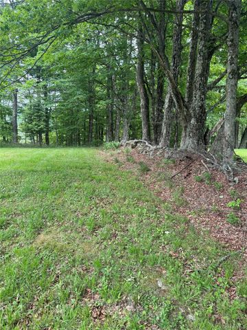 742 Lenape Lake Road, Livingston Manor, NY 12758