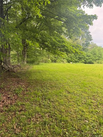 742 Lenape Lake Road, Livingston Manor, NY 12758