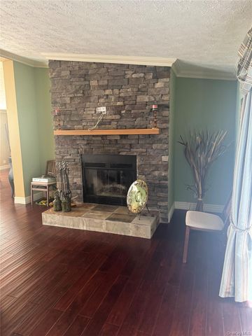 742 Lenape Lake Road, Livingston Manor, NY 12758
