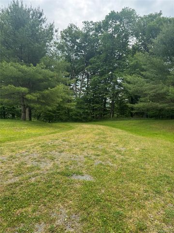 742 Lenape Lake Road, Livingston Manor, NY 12758