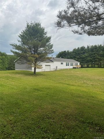 742 Lenape Lake Road, Livingston Manor, NY 12758
