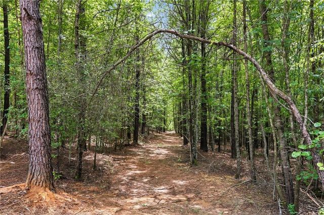 Lot 4 Orlando Path, Dallas, GA 30157