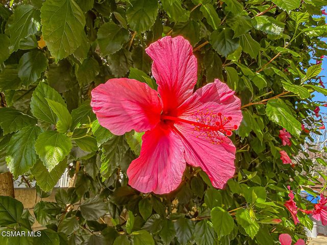 23571 Windom Street, West Hills, CA 91304