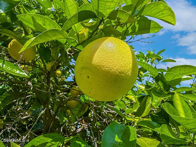 23571 Windom Street, West Hills, CA 91304