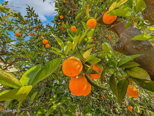 23571 Windom Street, West Hills, CA 91304