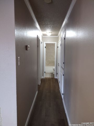 4227 Woodmanor, San Antonio, TX 78228