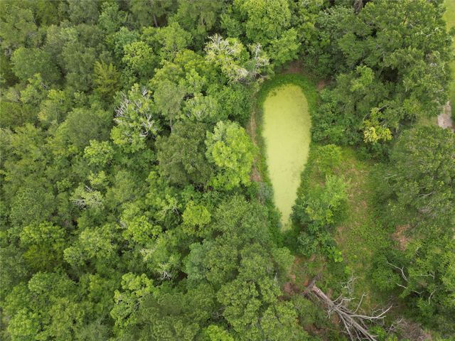 9.74 Acres Fm 1774, Plantersville, TX 77363