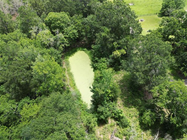 9.74 Acres Fm 1774, Plantersville, TX 77363