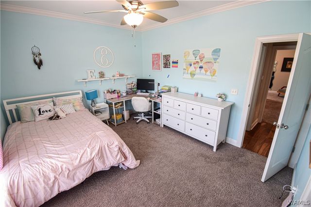 3641 White Oaks, Tuscaloosa, AL 35406