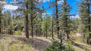 18 Falcon Circle, Florissant, CO 80816