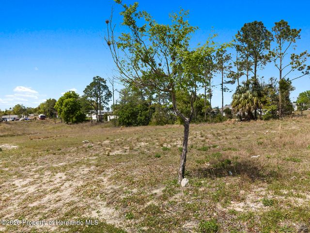 0 Weeping Willow Street, Brooksville, FL 34613