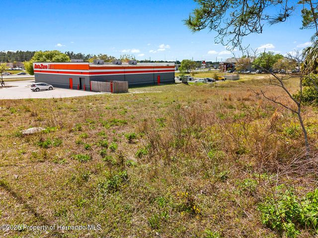 0 Weeping Willow Street, Brooksville, FL 34613