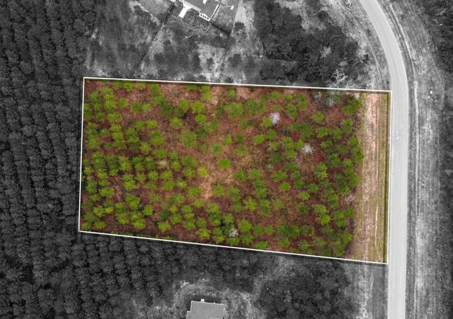 12677 Oak Barrel Road, Willis, TX 77378