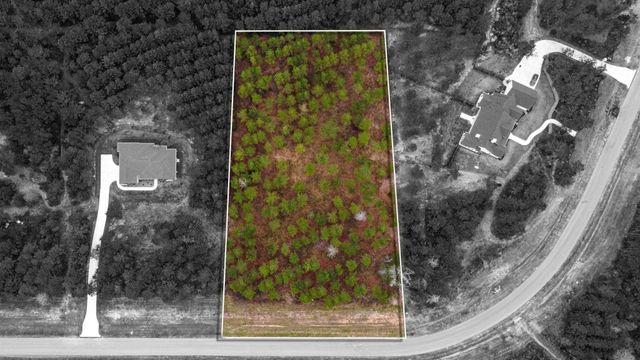 12677 Oak Barrel Road, Willis, TX 77378