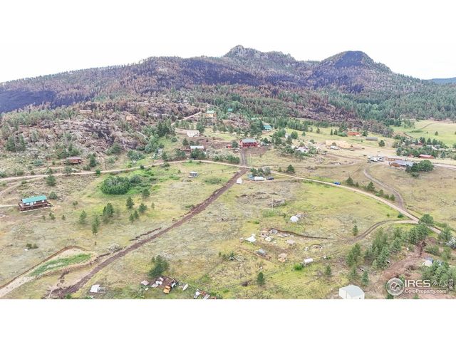 1780 Palisade Mountain Dr, Drake, CO 80515