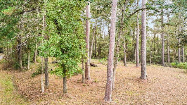 0 Mink Lake Dr, Magnolia, TX 77355