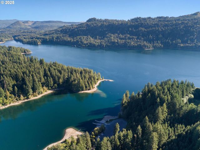 260 BALD EAGLE Rd, Ariel, WA 98603