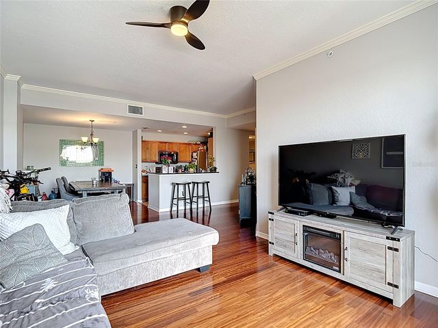 700 S HARBOUR ISLAND BOULEVARD 317, Tampa, FL 33602