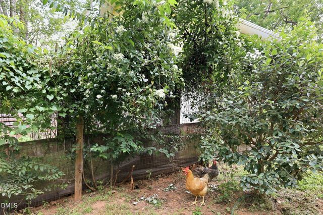 300 Jones Avenue, Hillsborough, NC 27278
